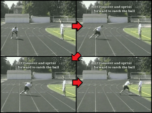 Baseball Coaching
