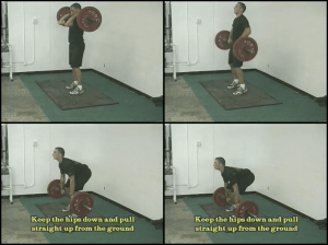 baseball strength training 2 squats