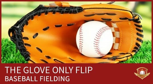 GLOVE ONLY FLIP BASEBALL FIELDING